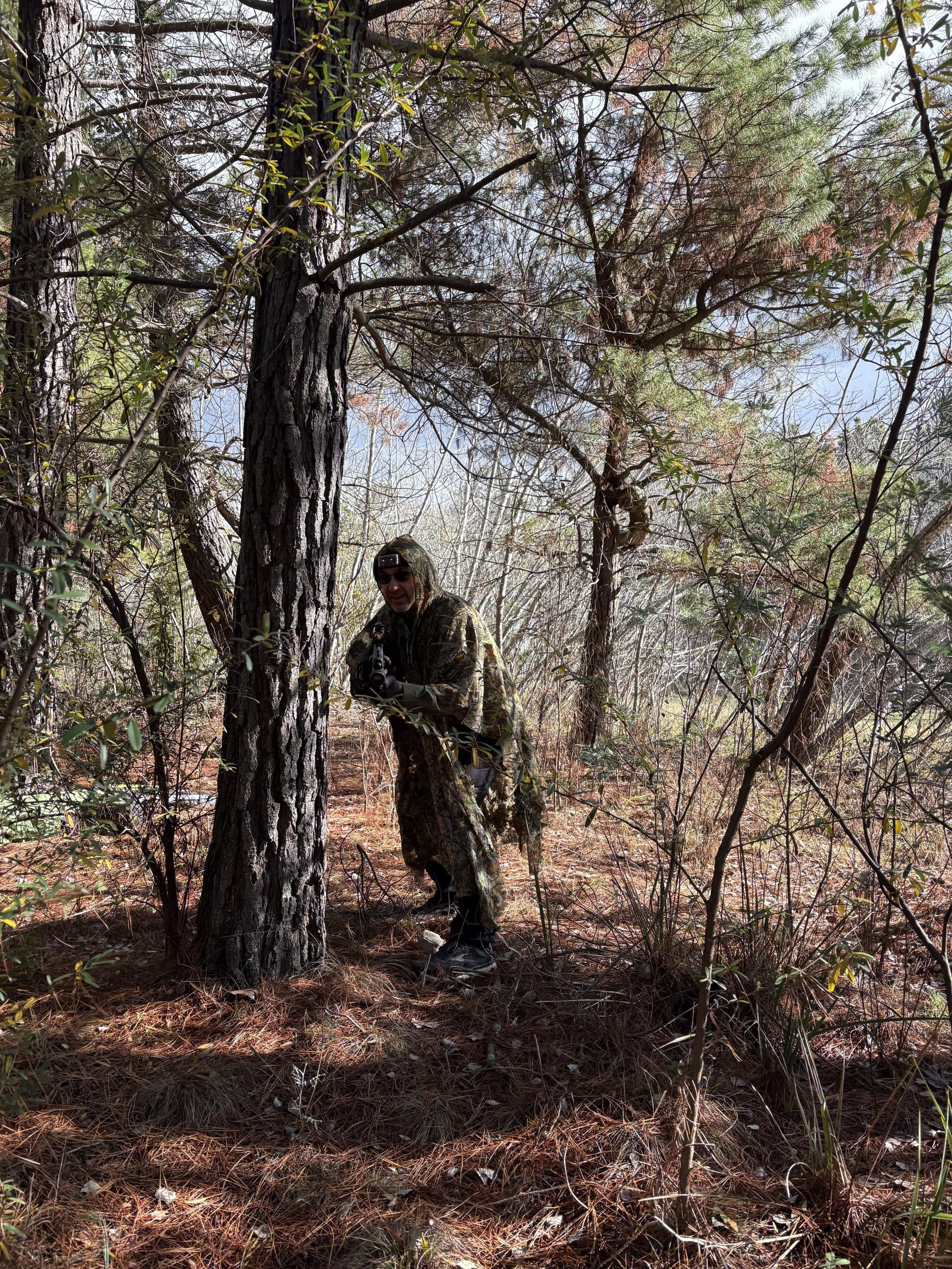 Action shot in the pine forest