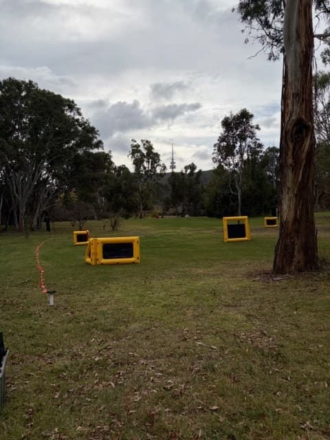 Domination box objective on Cottermouth field