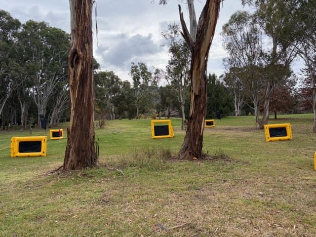 Domination box