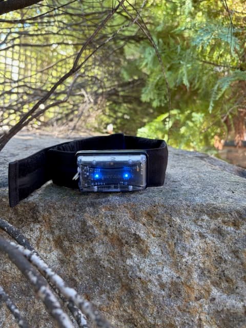 Headband sensor